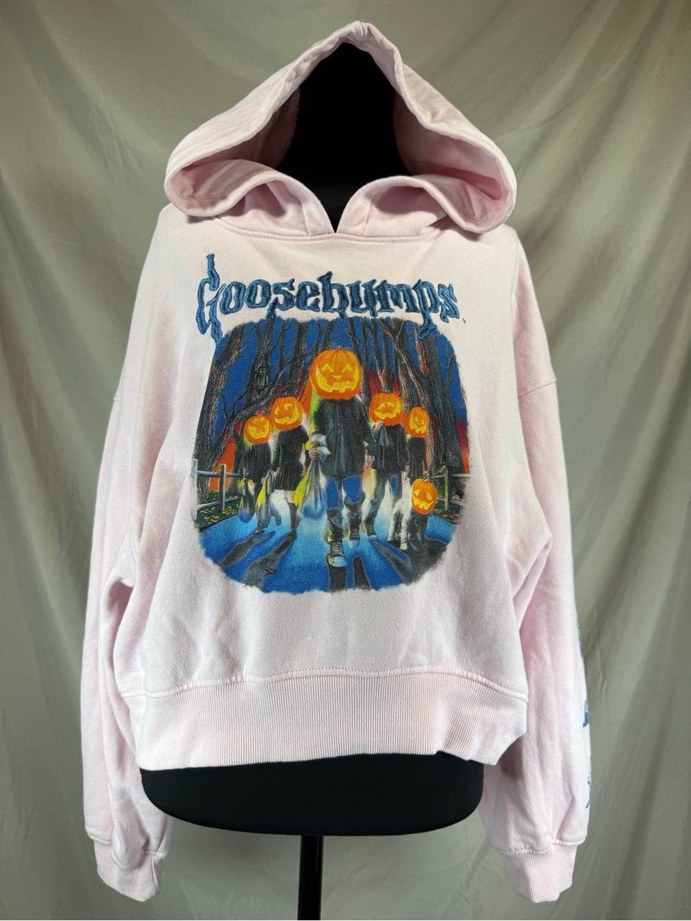 Goosebumps Scholastic Cropped Graphic Hoodie Pink - Size Medium